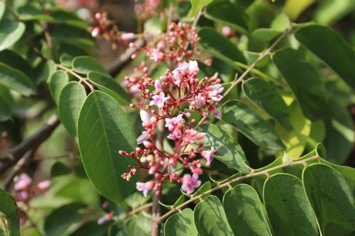 遇見陽光 東區田園農莊，一場與光的詩意對話